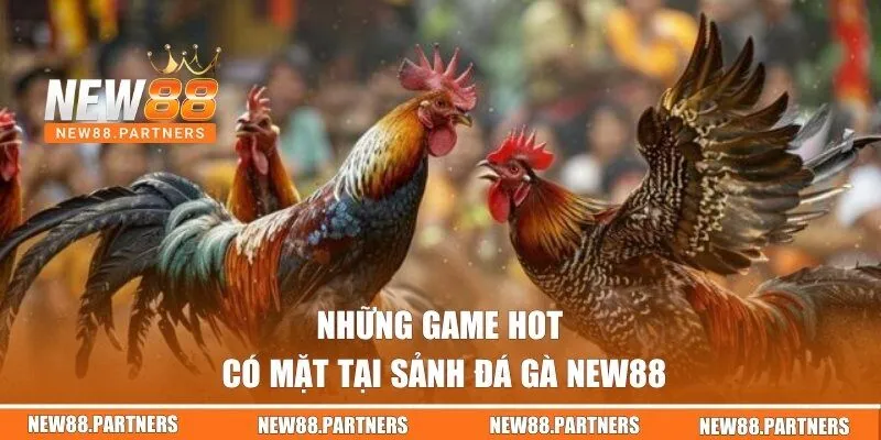 Đá Gà | Sân Chơi Đậm Chất Nghệ Thuật Và Kịch Tính Tại New88 1 Những game hot có mặt tại sảnh đá gà New88