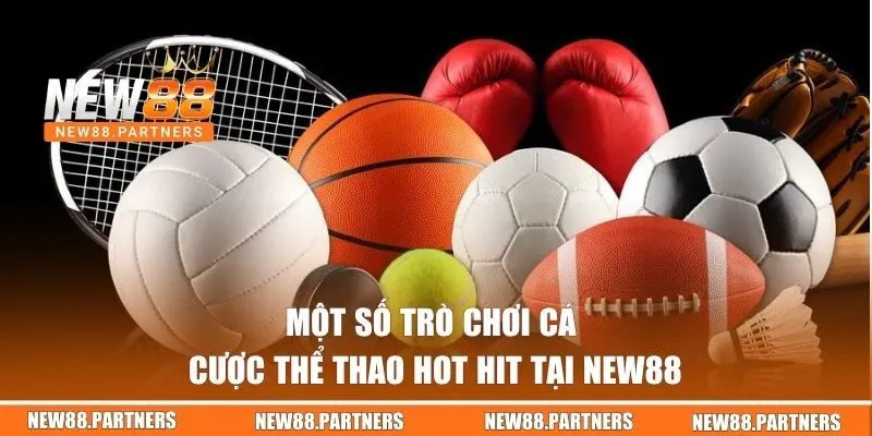 Saba Sports | Sảnh Cá Cược Thể Thao Đa Dạng Tại New88 3 Một số trò chơi cá cược thể thao hot hit tại New88